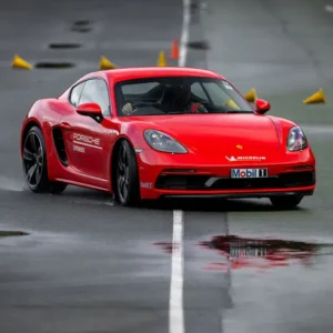 Precision Plus Gift Card